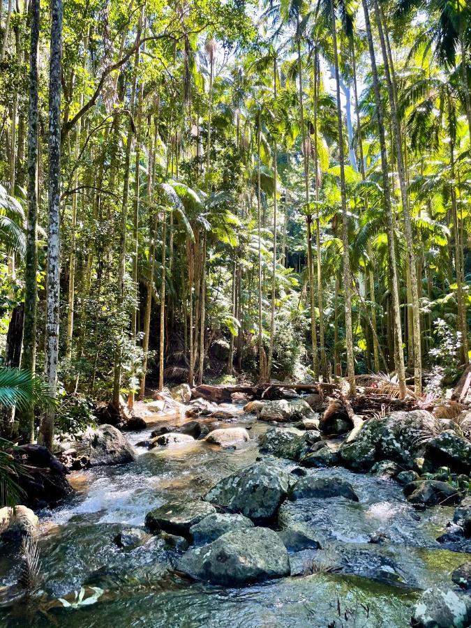 Mountain Studio Escape Mount Tamborine Luaran gambar