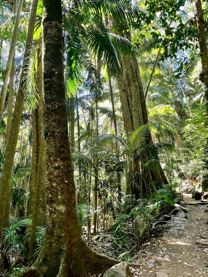 Mountain Studio Escape Mount Tamborine Luaran gambar